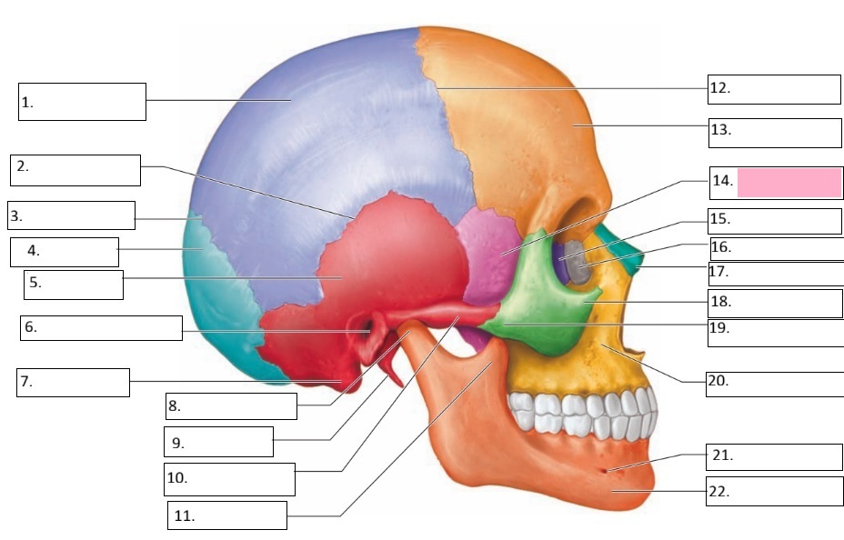 <p>14</p>