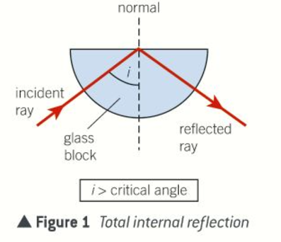 <p>It undergoes total internal reflection at the boundary, as if the boundary were replaced by a plane mirror</p>