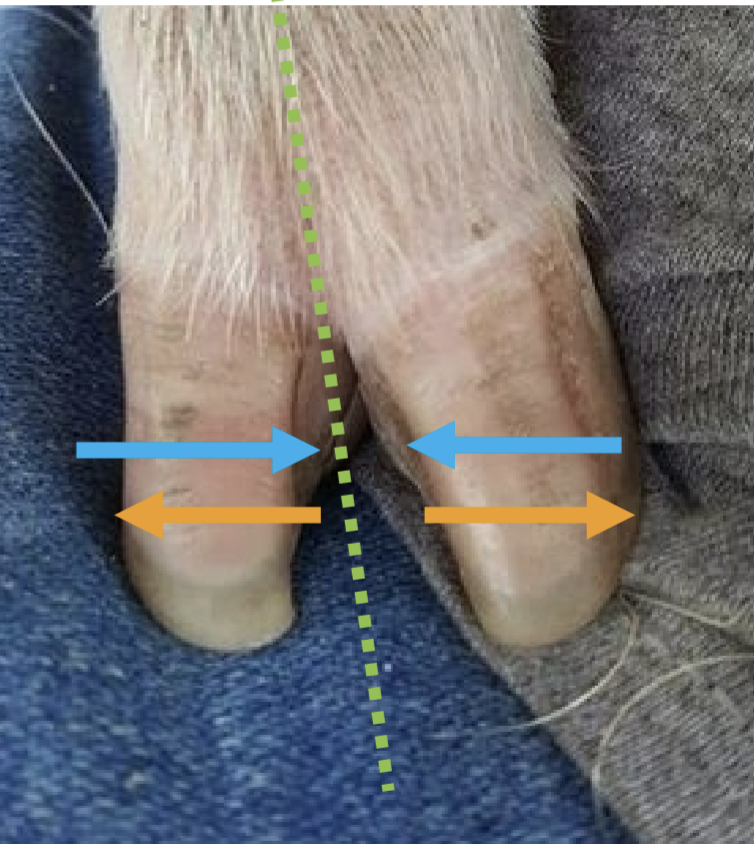<p>What direction is the blue arrow pointing?</p>