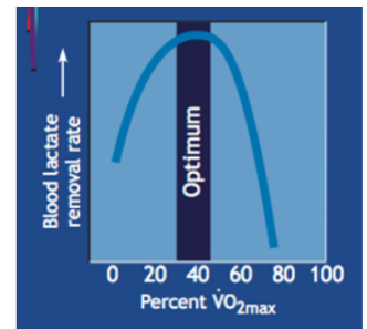 <p>active recovery specifically intensities from 30% - 50% VO2 max </p><ul><li><p>better to recover better and faster, sometimes not worth it in a game bc of psychological thinking </p></li></ul><p></p>