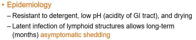 <p><strong>Adenovirus is resistant to detergents, low pH </strong>(like in the GI tract), and <strong>drying.</strong></p><p>The virus can also hide in the body’s immune tissues (like tonsils) without causing symptoms and slowly release for a long time.)</p>