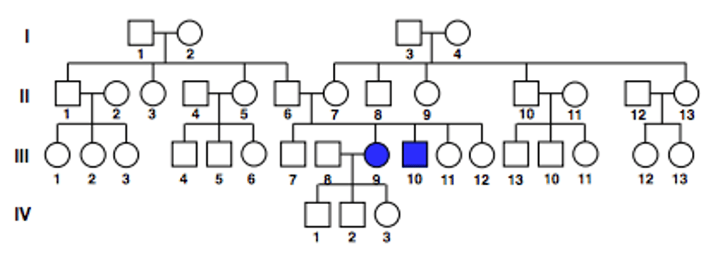 <p>Pattern of inheritance?</p>