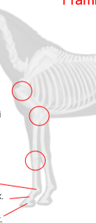 <p>Vad är högst upp?</p>
