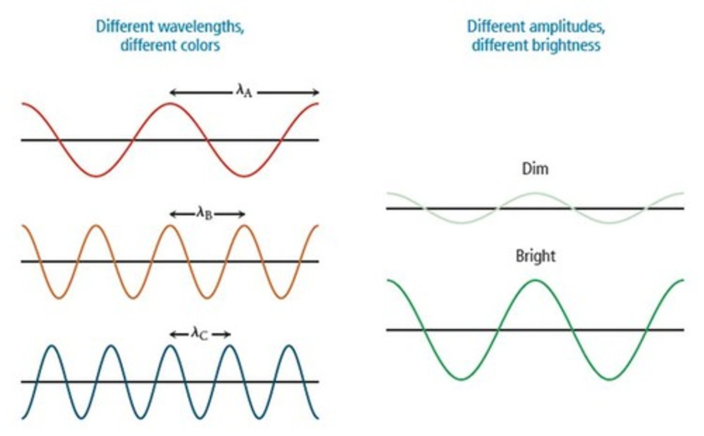 <p>Wavelength and amplitude are independent properties; wavelength determines color while amplitude determines brightness.</p>