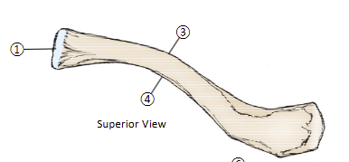 <p>4</p>