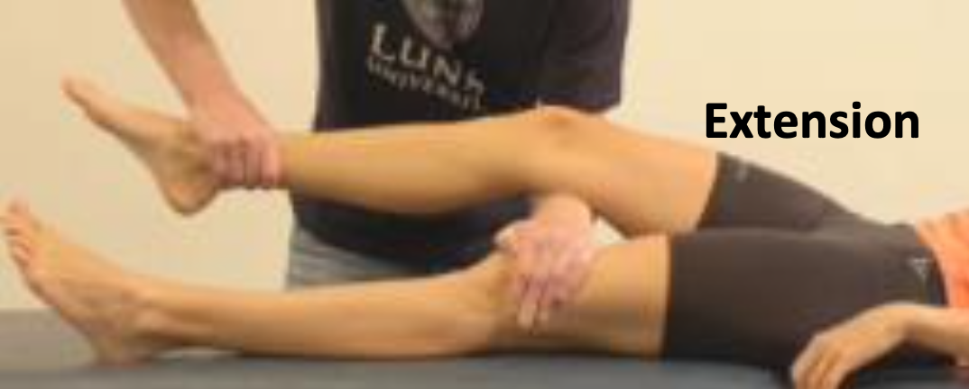 <ol><li><p>Fatta tag i patientens fotled på benet du  testar med din ena hand</p></li><li><p>Trä din andra hand under benet du testar och placera den ovanför knäet på det andra benet, så att din underarm går under knävecket på benet du testar</p></li><li><p>Be patienten extendera och ge motstånd </p></li></ol><p>Bedöm ev smärta, kraft och sidoskillnad</p>