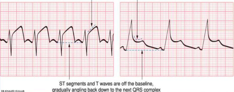 <p>what is this?</p>
