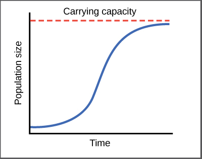 <p>exponential or logistic? </p>