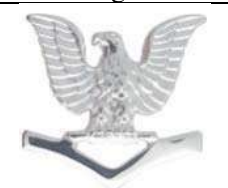 <p>One eagle above one chevron (E4)</p>