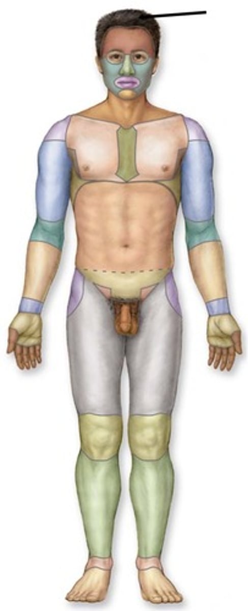 knowt flashcard image