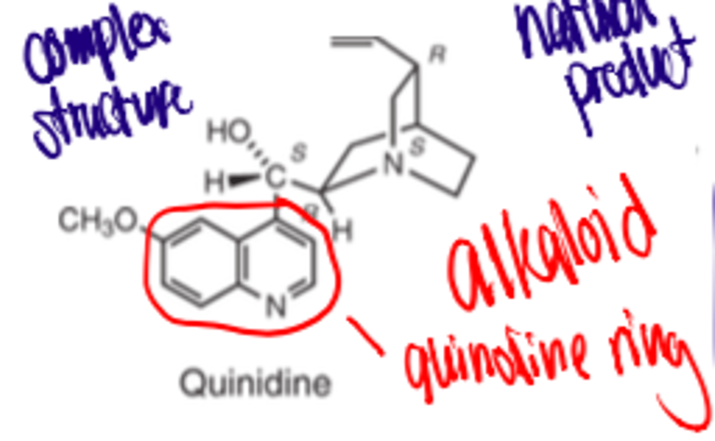 <p>- water soluble salt (due to amine)</p><p>e.g., sulfate, gluconate</p>