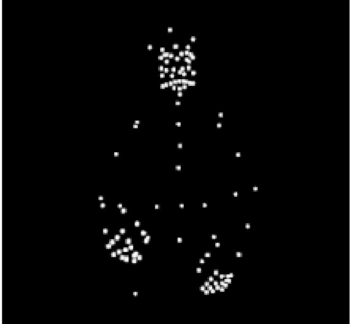 Biological Motion: motion of a person or other living organism. 

* Point-Light stimuli can be used to isolate the movement from the organism. 
* The dots become perceptually organized and recognized as biological motion when they move (Gestalt principle of common fate). 
* We are good at recognizing actions presented with Point-Light stimuli because of our everyday experience with it