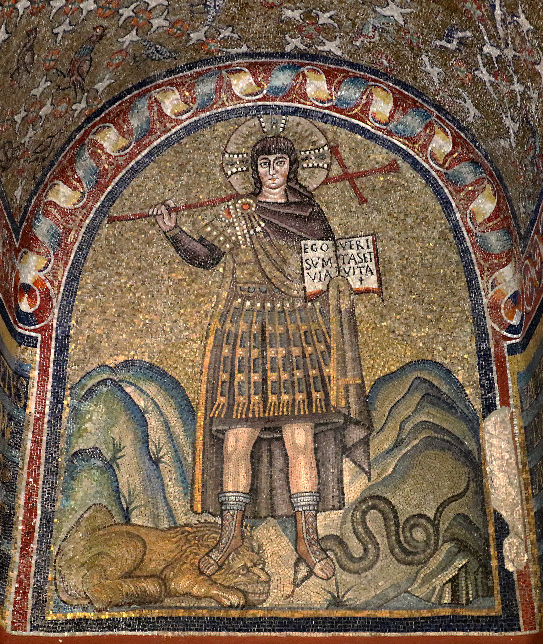 term image