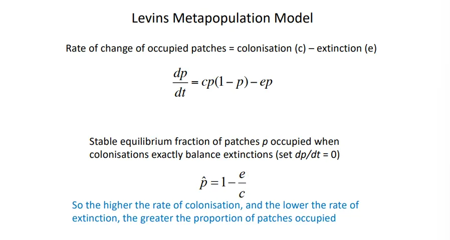 <ul><li><p>in fragmented ecosystems, the population of a species is controlled by the rate at which it colonises new patches and the rate of local extinction in patches</p></li><li><p>high colonisation + low extinction = a greater proportion (p) of patches occupied</p></li></ul><ul><li><p><strong>colonisation rates change in a quadratic model, whereas extinction rates change in a linear model</strong></p></li></ul><p>this is still a semi-theoretical model, as it must be relatively <strong>rare</strong>, but still <strong>possible</strong>, for individuals to <strong>move </strong>between patches (without really affecting the population size, unless establishing a new population), and they must still be <strong>extinction-prone</strong></p><ul><li><p>otherwise it is just a mainland-island model, as one patch can still support a large, stable popualtion</p></li></ul><p></p>