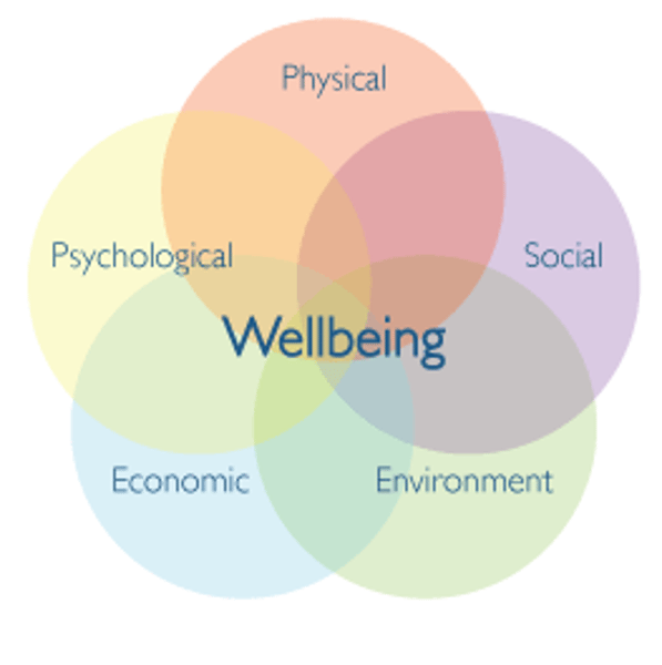 <p>well-being</p>