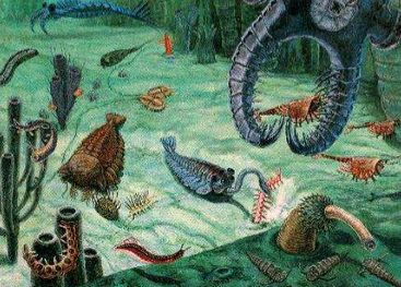 <p>A period of <strong>rapid diversification of animal life</strong> that occurred during the <strong>Cambrian era (540–485 million years ago).</strong></p>