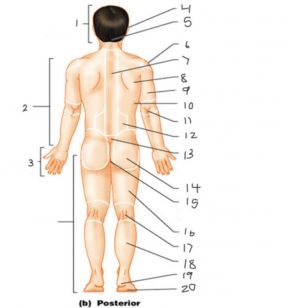 <p>#2</p>