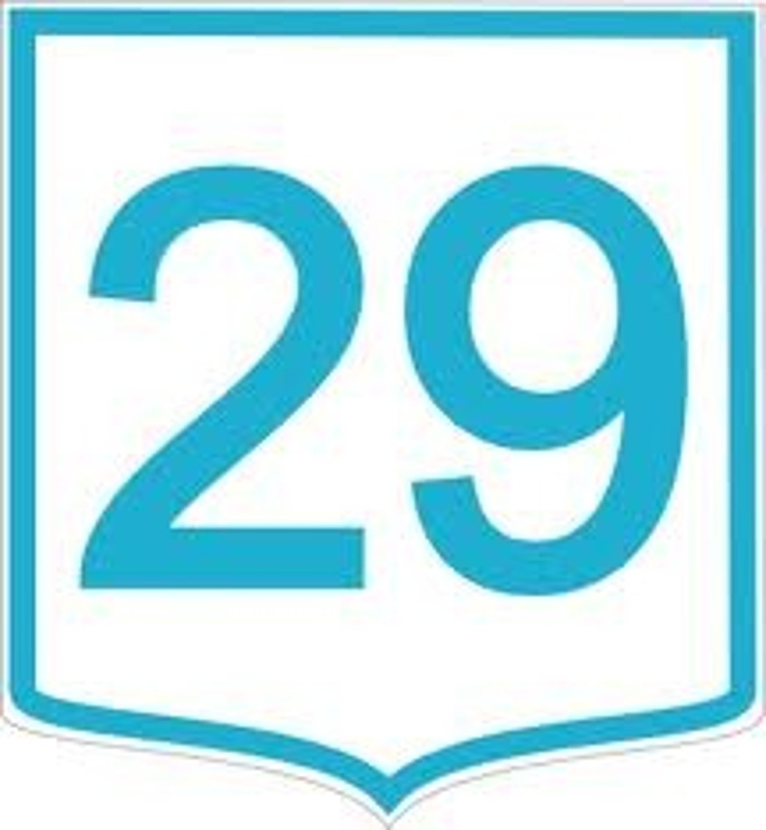 <p>29 (twenty-nine)</p>