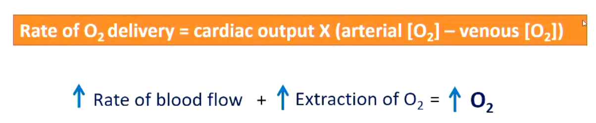 <p>• Circulatory system of mammals and birds operates at leisurely pace at rest</p><p>• During exercise O2 demand increases so circulatory system responds</p><ul><li><p>Venous blood becomes much more deoxygenated during exercise than at rest</p></li></ul><p></p>