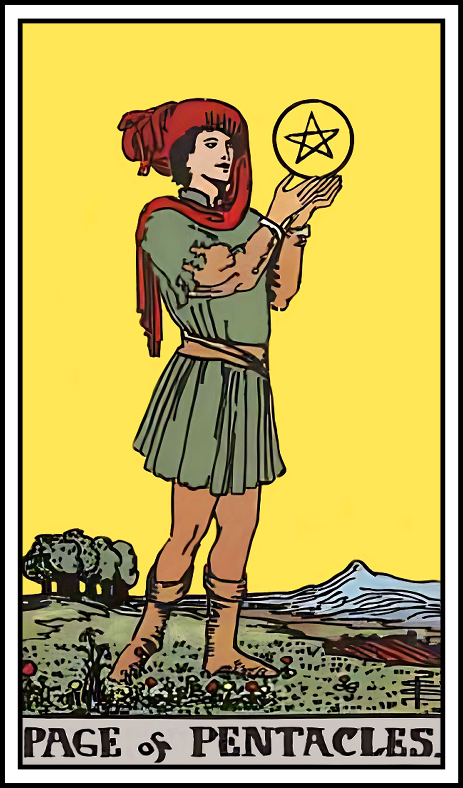 <p>page of pentacles</p>