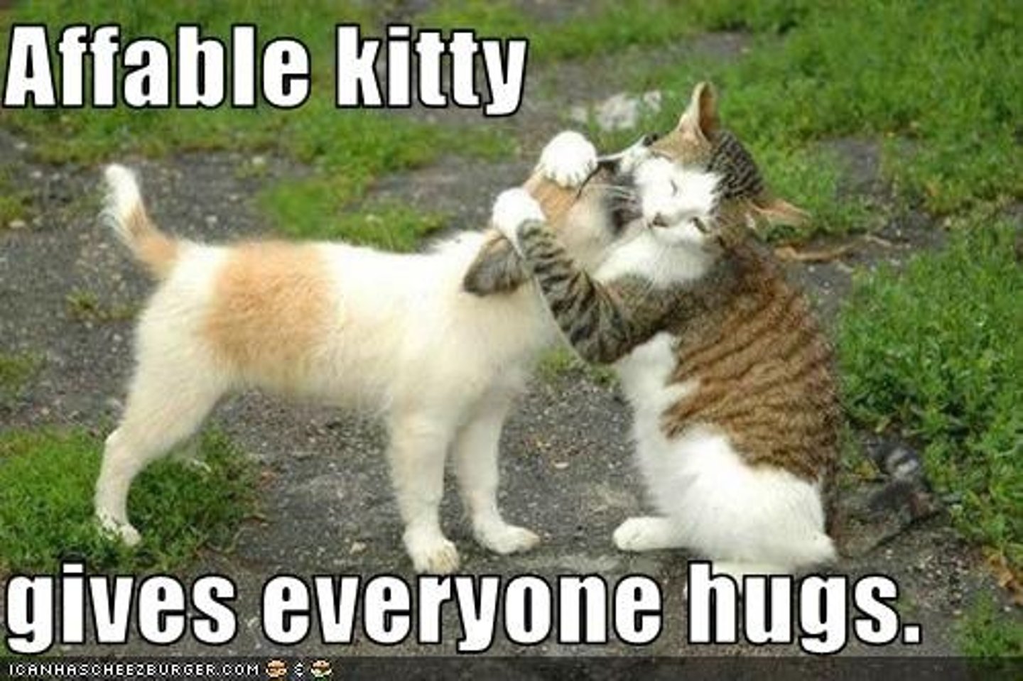 <p>(adj.) courteous and pleasant, sociable, easy to speak to</p><p>SYNONYMS: genial, amicable, cordial</p><p>ANTONYMS: surly, cantankerous, dour, inhospitable</p>