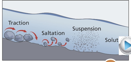 <p>Solution</p>