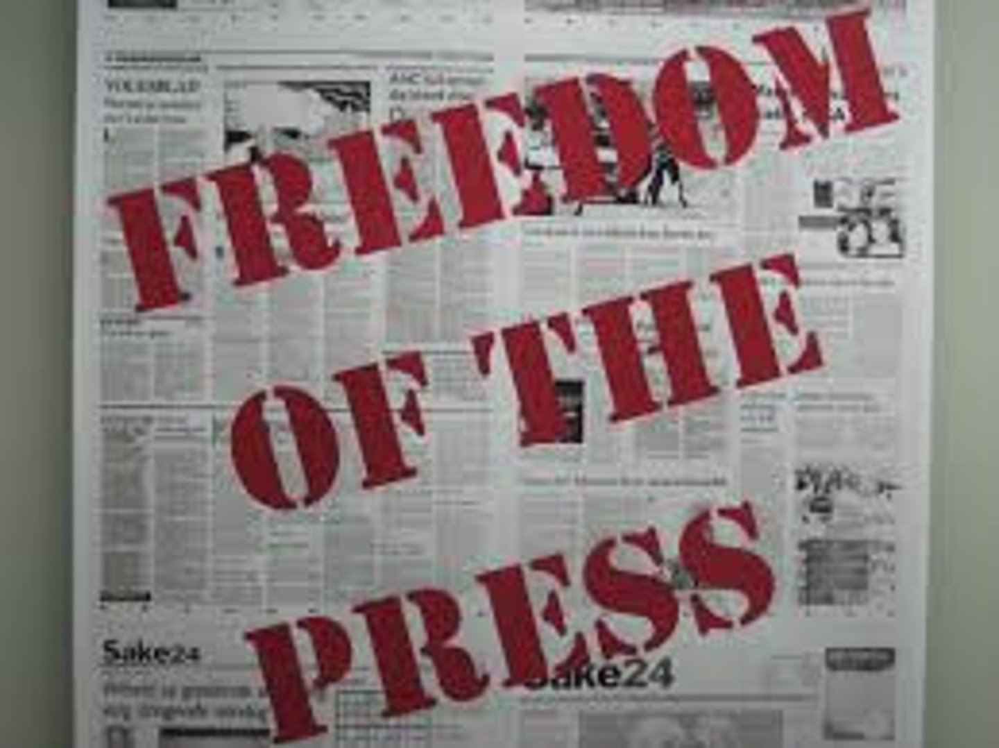 <p>freedom of the press</p>
