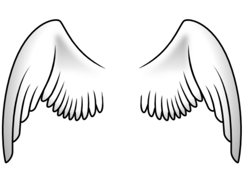 wings