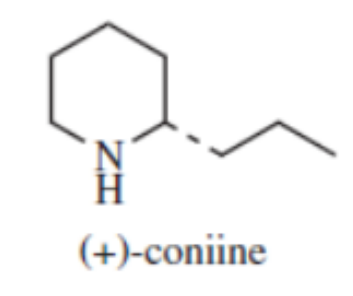 <p>acetate derived pseudoalkaloid</p><p>from Poison hemlock, Conium maculatum (Apiaceae) </p><p>Muscular paralysis, convulsions </p><p>Total alkaloids (fruits): 1.6%</p><p> Major alkaloid: coniine, 90%</p>