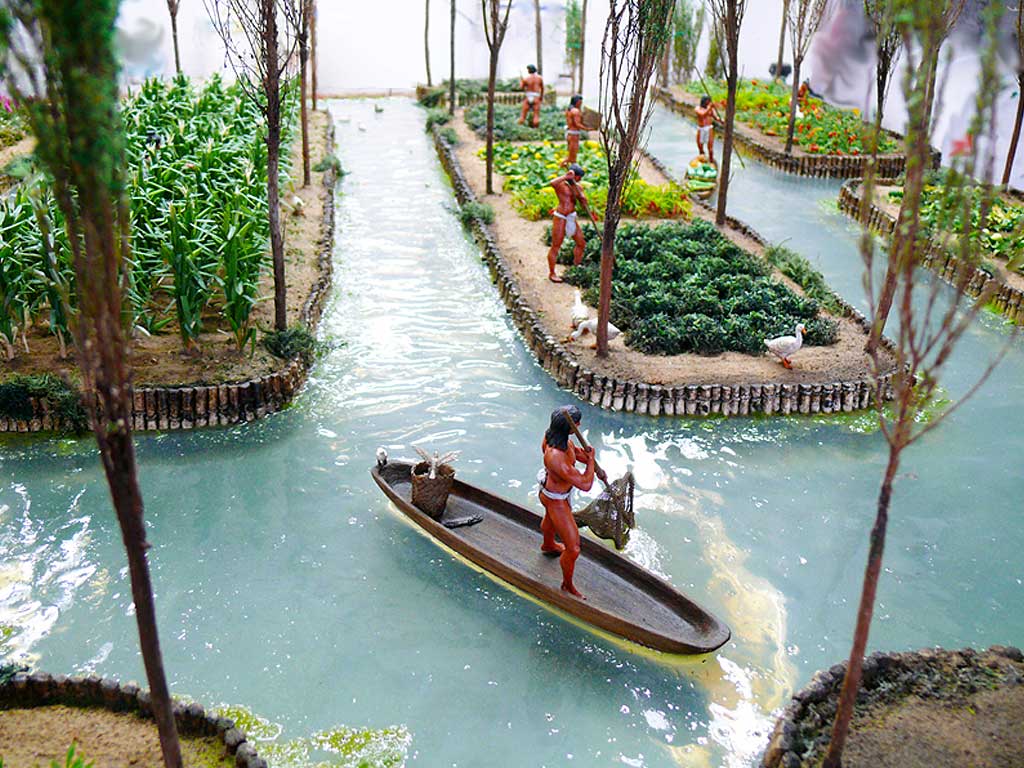 <p>Chinampas</p>