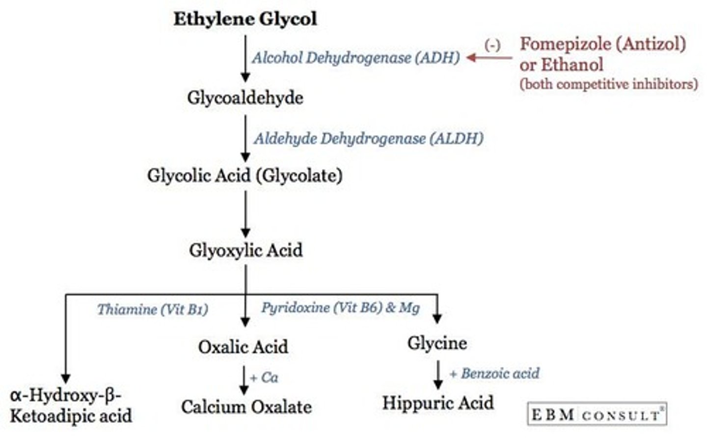 <p>Ethanol competes with methanol for the active site of alcohol dehydrogenase, reducing methanol's toxic effects.</p>