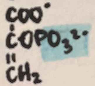 <p>name the following intermediate</p>