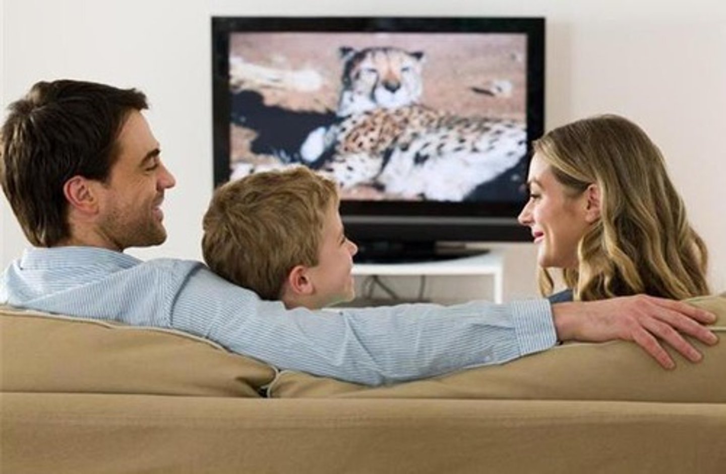 <p>television viewer</p>