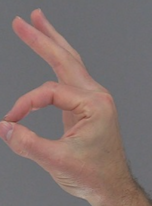 <p>move the thumb to touch the tips of the other fingers </p>
