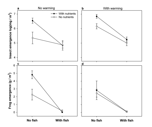 <p>Explain this graph</p>