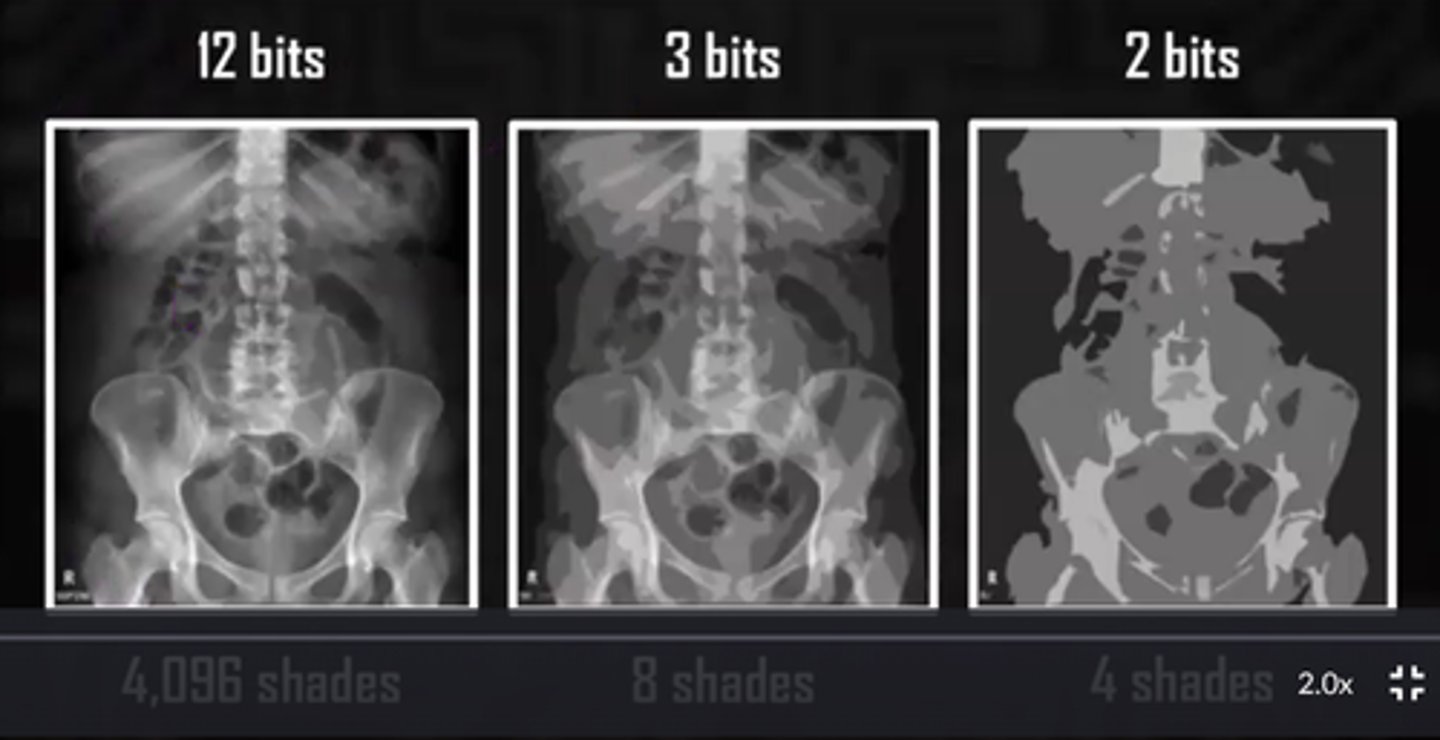 <p>total number of possible brightness levels (shades of gray) that can be assigned to any individual pixel in the image</p>