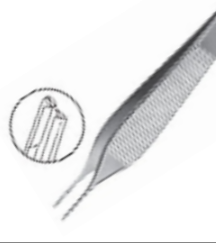 <p>What type of tissue forceps are pictured?</p>