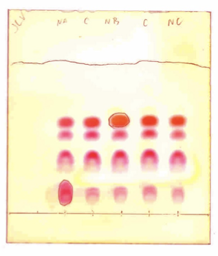 <p>A technique used to separate non-volatile mixtures based on the adsorption of compounds to a stationary phase and their solubility in a mobile phase</p>