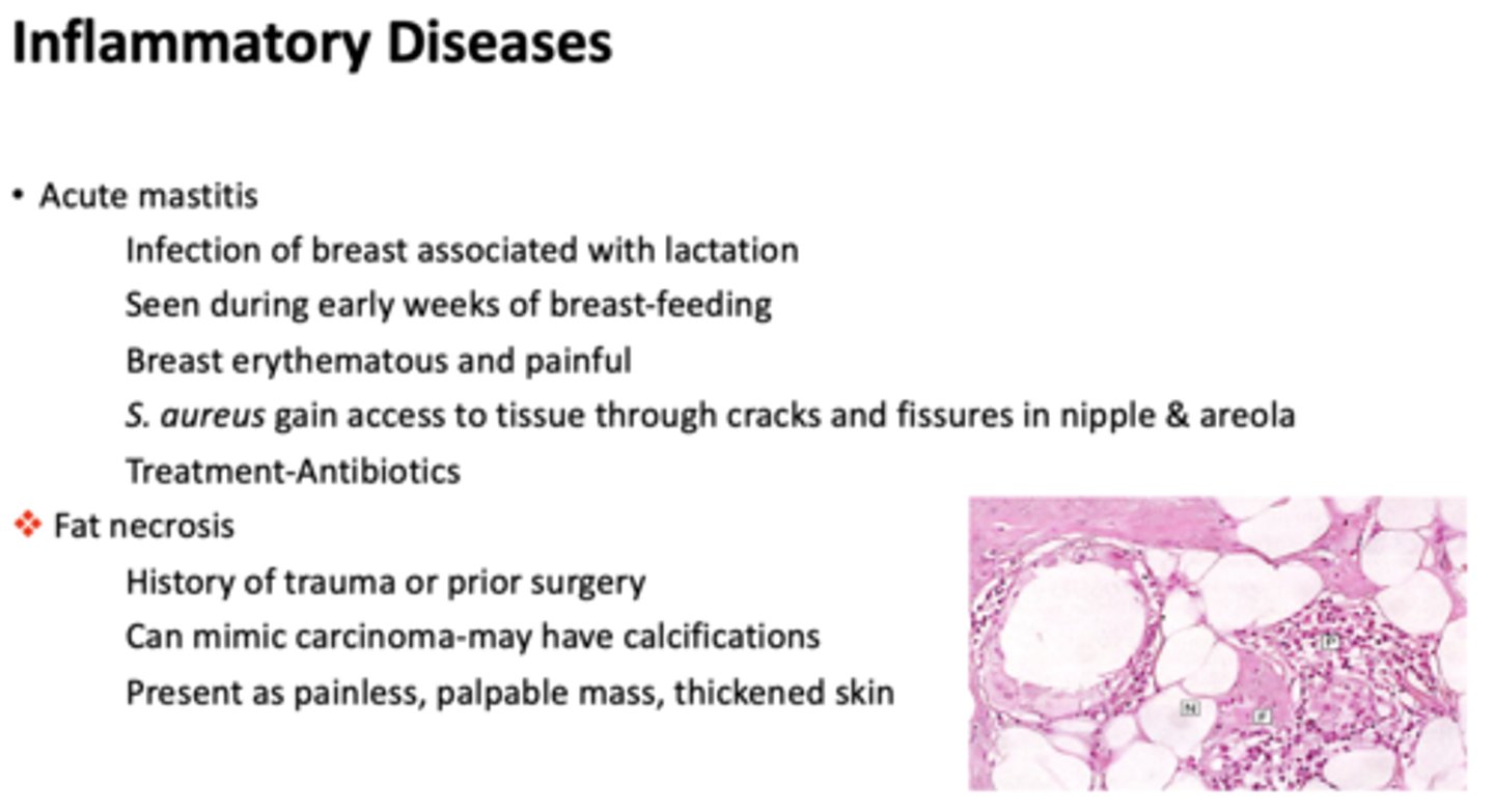 <p>Acute mastitis</p>