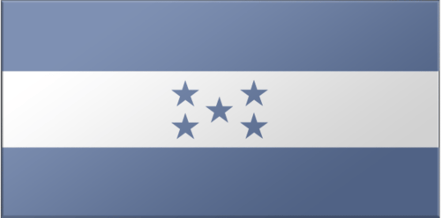 <p>Honduran</p>