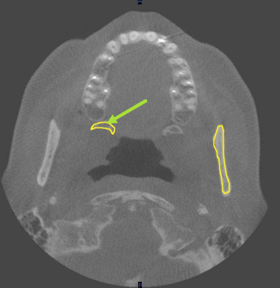 <p>identify the structure </p>