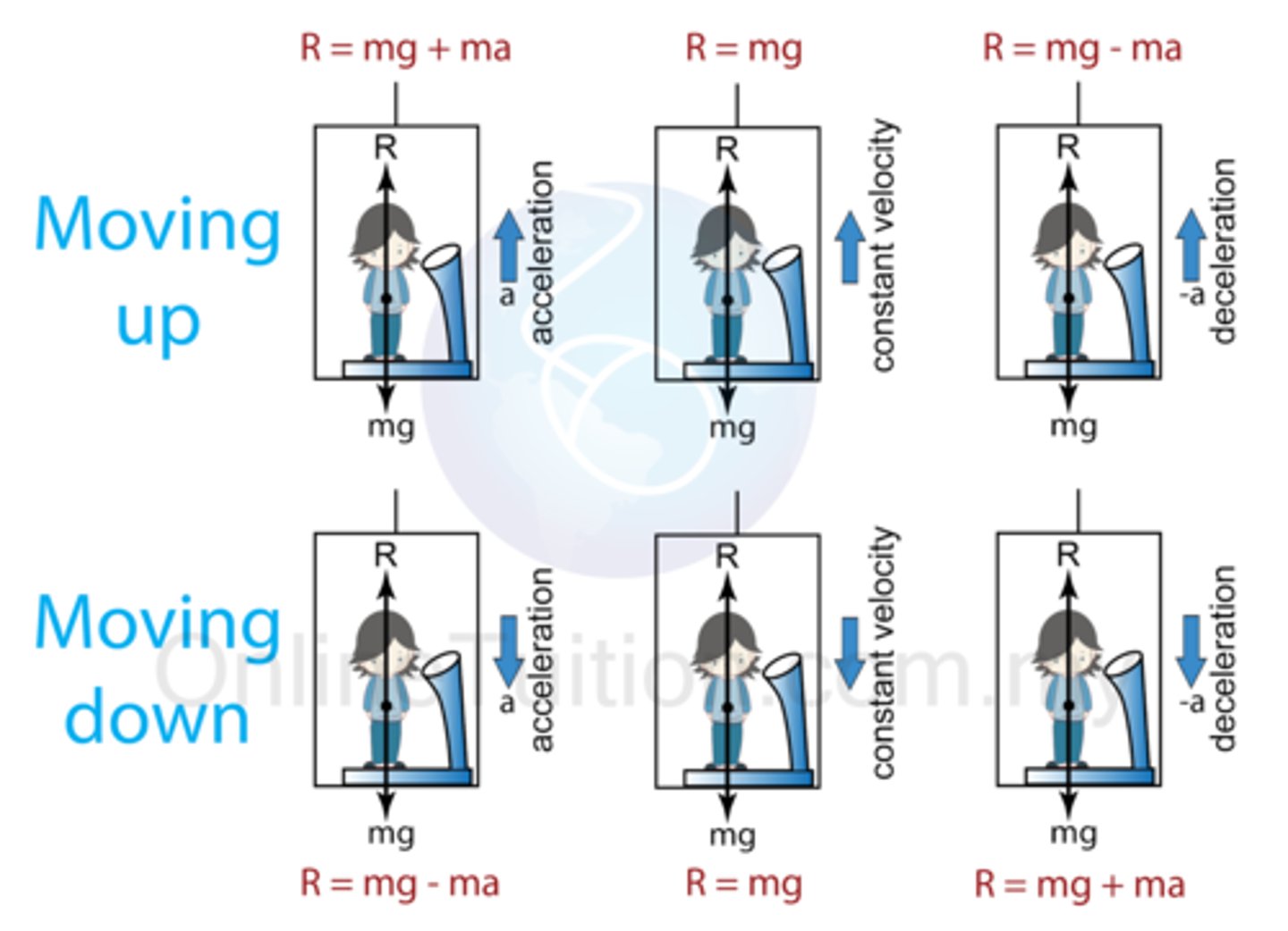 knowt flashcard image