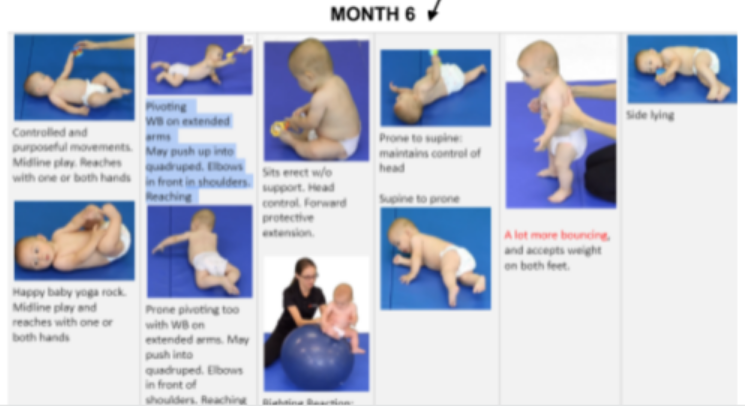 <ul><li><p><strong><mark data-color="purple" style="background-color: purple; color: inherit">prone:</mark></strong></p><ul><li><p>extended arms, <strong>pivots</strong></p></li><li><p style="text-align: left">7ms > crawl</p></li></ul></li><li><p style="text-align: left"><strong><mark data-color="purple" style="background-color: purple; color: inherit">supine:</mark></strong></p><ul><li><p style="text-align: left">plays with feet</p><ul><li><p style="text-align: left">feet to mouth</p></li><li><p style="text-align: left">kicks feet</p></li></ul></li><li><p style="text-align: left">no head lag</p></li></ul></li><li><p style="text-align: left"><strong><mark data-color="purple" style="background-color: purple; color: inherit">rolls</mark></strong><mark data-color="purple" style="background-color: purple; color: inherit"> </mark><em><mark data-color="purple" style="background-color: purple; color: inherit">back to tummy</mark></em></p><ul><li><p style="text-align: left">supine to sidelying > prone to supine > supine to prone</p></li></ul></li><li><p style="text-align: left"><mark data-color="purple" style="background-color: purple; color: inherit">sits </mark><strong><mark data-color="purple" style="background-color: purple; color: inherit">independently</mark></strong></p><ul><li><p style="text-align: left">poor dynamic balance</p></li></ul></li><li><p style="text-align: left"><strong><mark data-color="purple" style="background-color: purple; color: inherit">stands</mark></strong><mark data-color="purple" style="background-color: purple; color: inherit"> with </mark><strong><mark data-color="purple" style="background-color: purple; color: inherit">support</mark></strong></p><ul><li><p style="text-align: left">bounces</p></li></ul></li></ul><p></p>