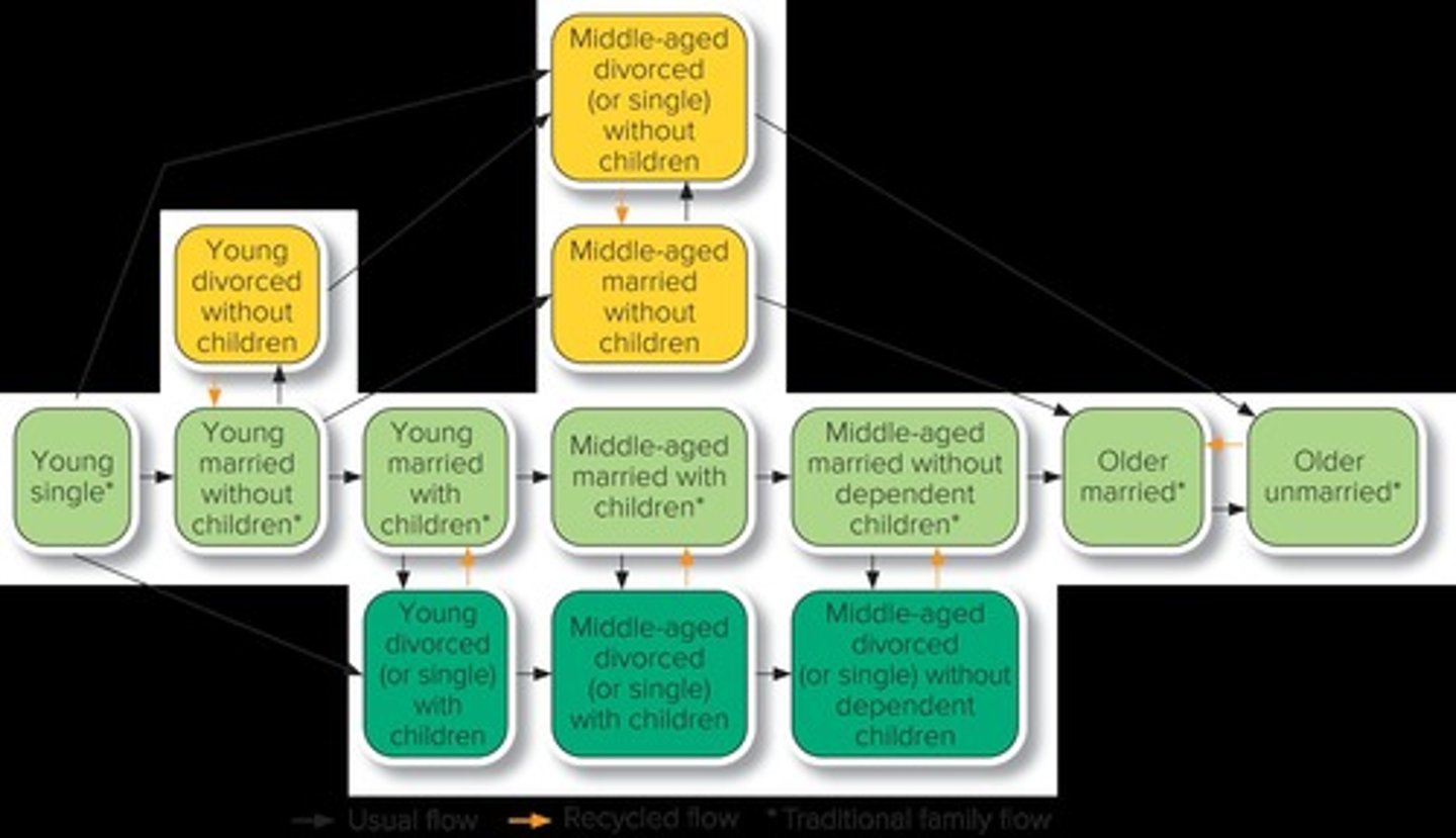 <p>Stages in Modern Family Life Cycle</p>