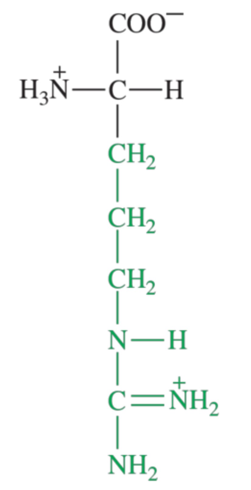 <p>What amino acid is shown in the image?</p>