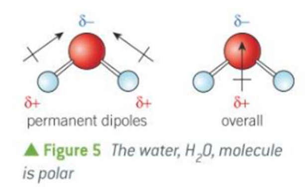 <p>water</p>