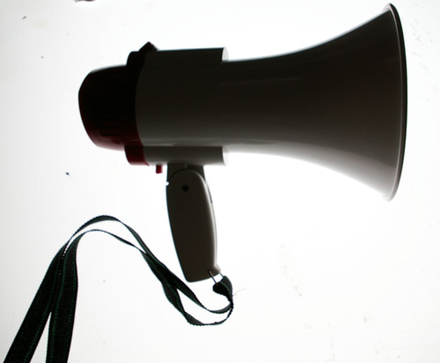 <p>spokesperson</p>