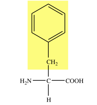 PHENYL RING
