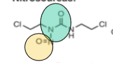 <p>Based off the functional group (green + yellow ), what is the drug class?</p>