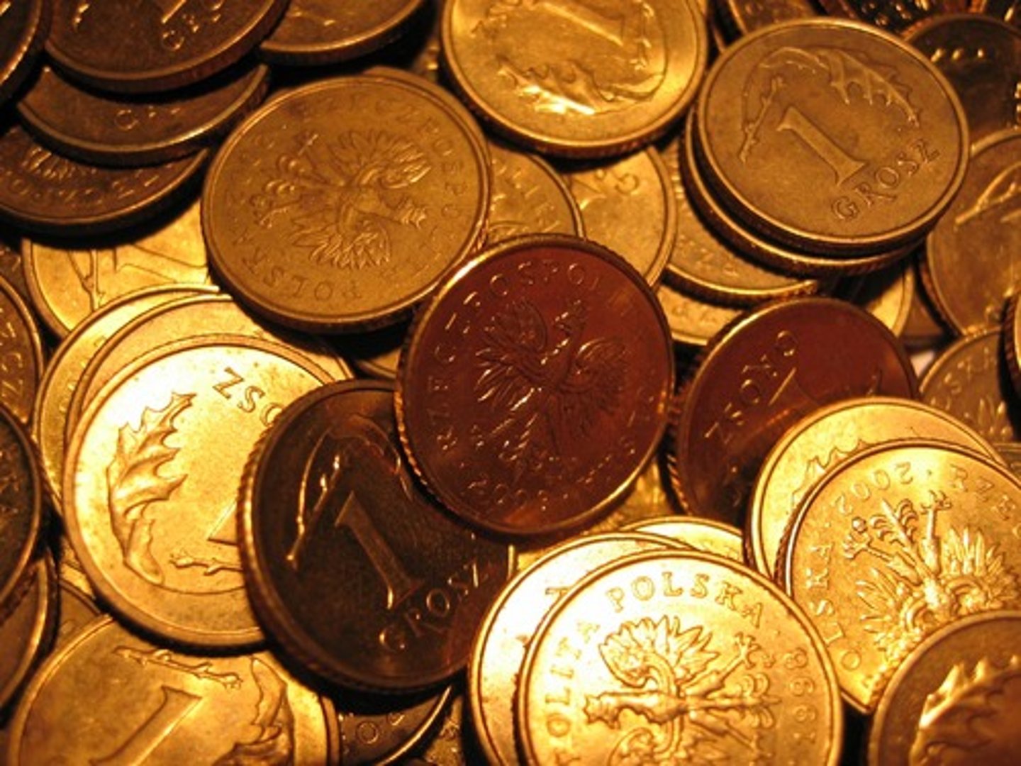 <p>rich</p>